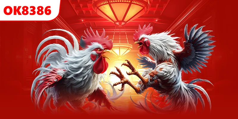 Mẹo đá gà đòn