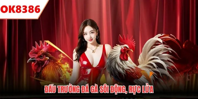 Đấu trường đá gà sôi động, rực lửa